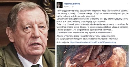 Drzewo z martwą wiewiórką NIE ZOSTAŁO WYCIĘTE przez ustawę Szyszki! "Sama wybrała to miejsce, albo ktoś ją ZNALAZŁ I UŁOŻYŁ"