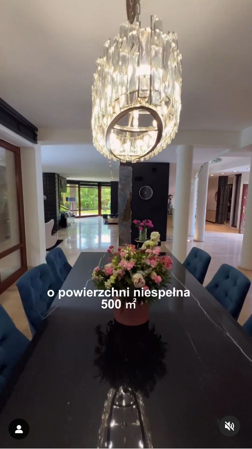 Sylwia Peretti sprzedaje willę w Krakowie.