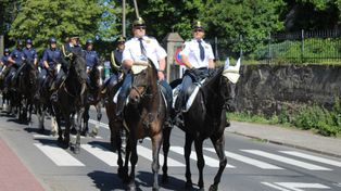 Stado Ogierów w Gnieźnie świętuje 140-lecie istnienia. Przygotowano wiele atrakcji dla mieszkańców