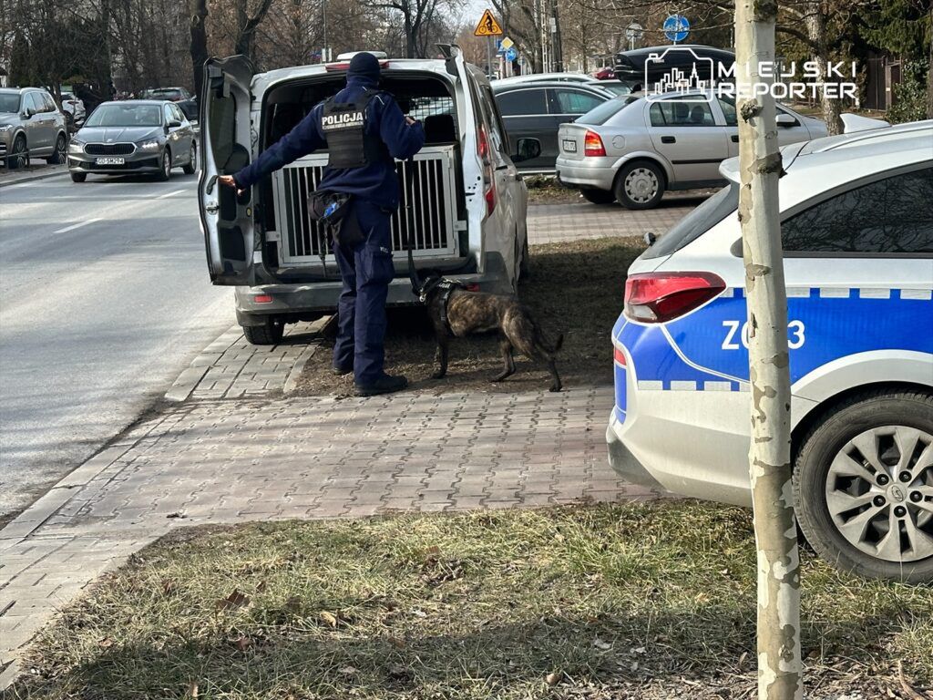 fot. Miejski Reporter