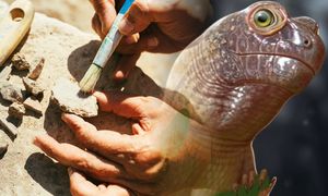 Znaleźli fragment czaszki. Odtworzyli potwora sprzed 240 mln lat