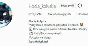 Twój kot na Instagramie. Jak stworzyć koci profil?