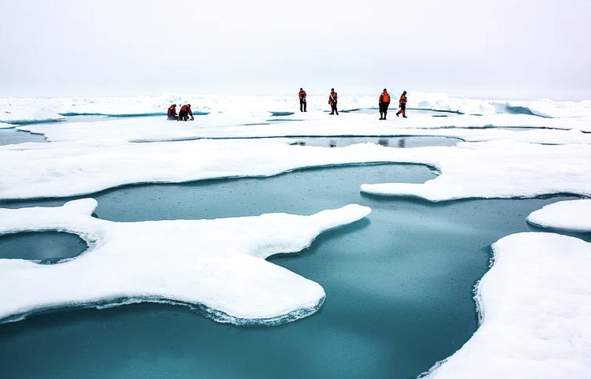 Grenlandzkie lodowce dostarczą lód do eksluzywnych barów w Dubaju