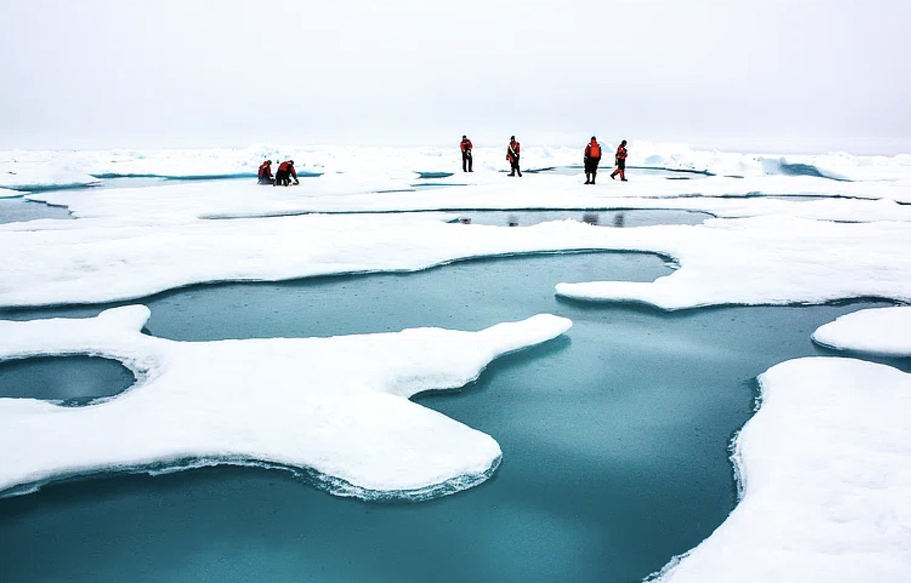 Dziewiczy lód płynie z Grenlandii do barów w Emiratach Arabskich