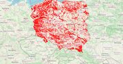 Afera o mapę wycinki lasów. LP: "To bardzo nierzetelny przekaz"