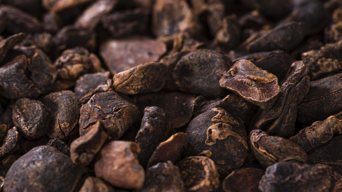 Najczęściej orzechy kola wymieniane są jako produkt pobudzający i dodający energii