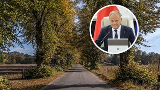 Planowali gigantyczną wycinkę drzew. Premier z osobistą prośbą