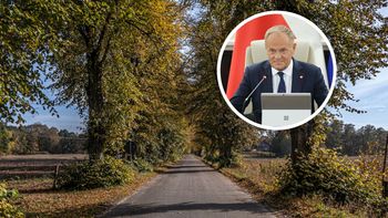 Planowali gigantyczną wycinkę drzew. Premier z osobistą prośbą
