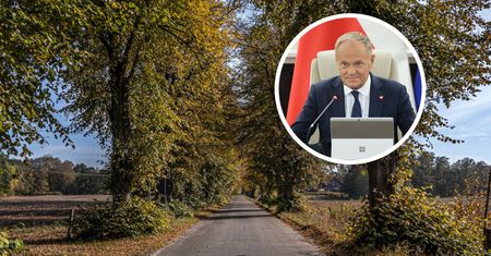 Planowali gigantyczną wycinkę drzew. Premier z osobistą prośbą