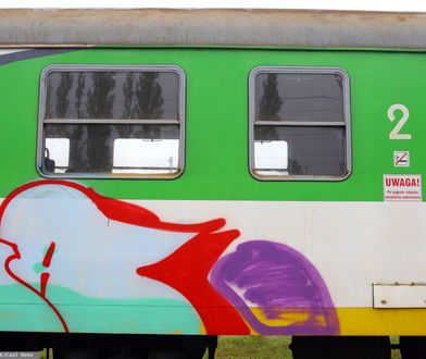 Wandale z Gdańska zniszczyli pociąg SKM. Dali się nagrać