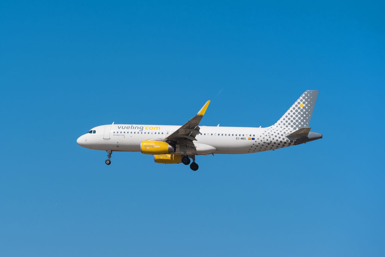 Vueling pet best sale in cabin