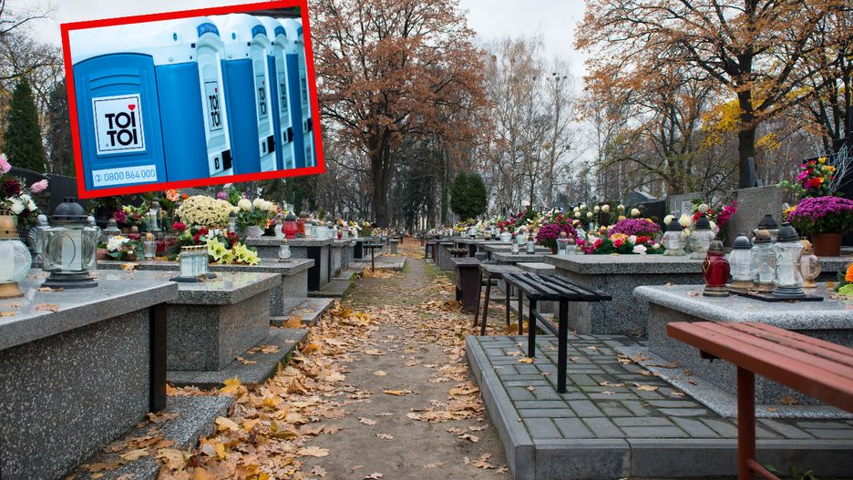 Zdjęcie ilustracyjne.