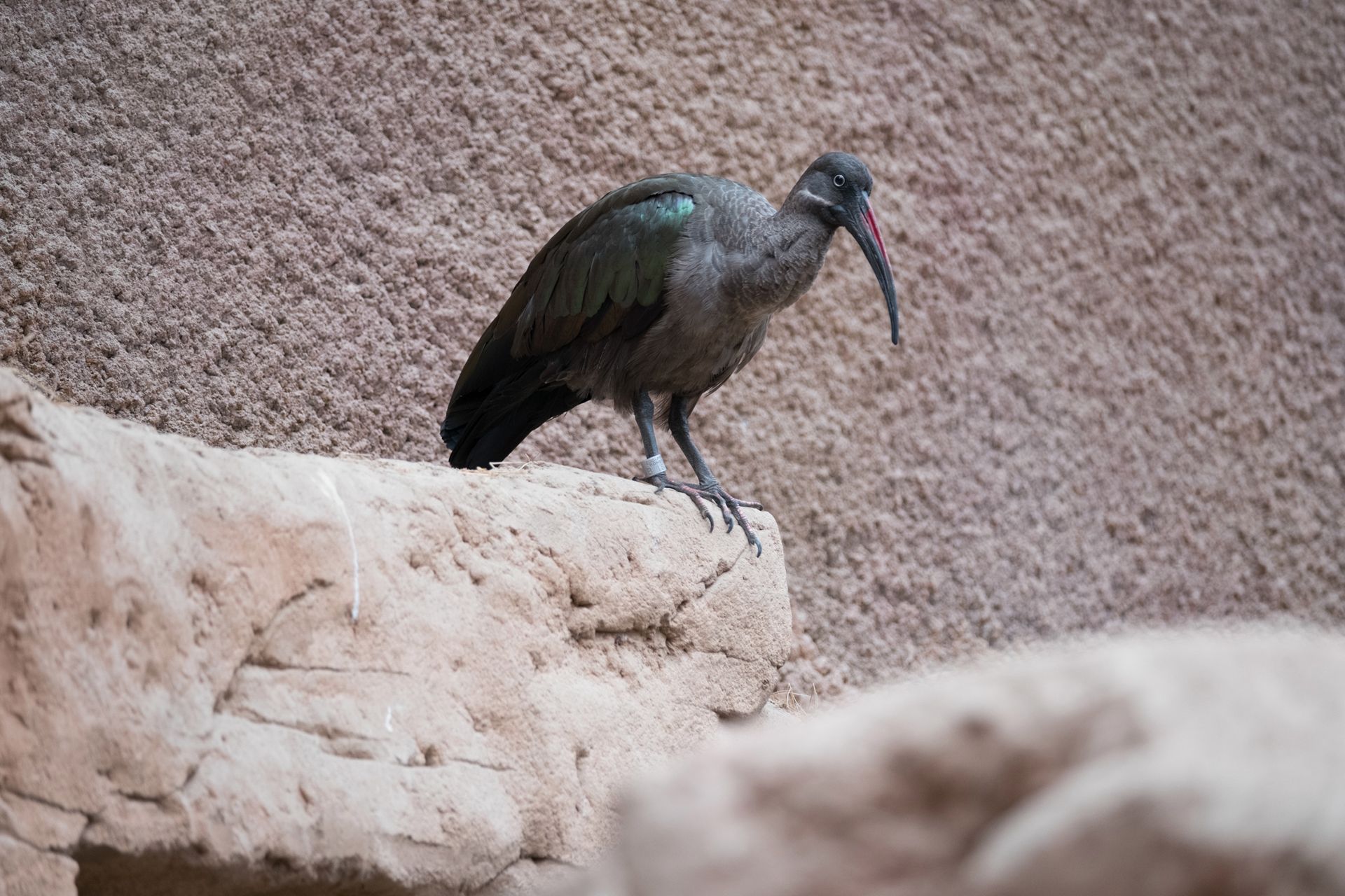 Fujifilm X-T2 - test bezlusterkowego profesjonalisty 150