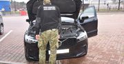 Plaga na polskiej granicy. Strażnicy zauważają podejrzane dokumenty