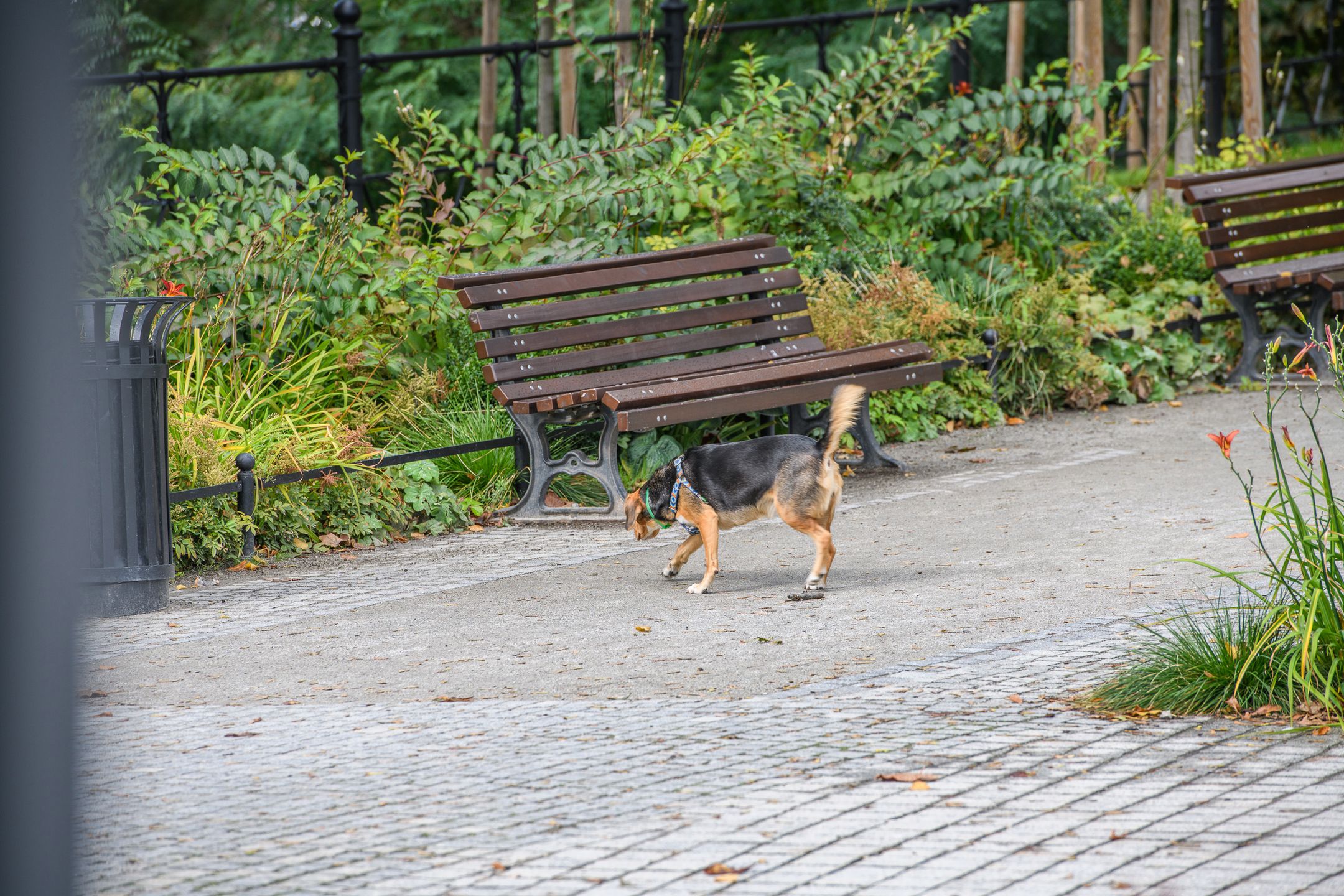 Czy Nikon D850 to rzeczywiście lustrzanka kompletna? Sprawdzamy w praktyce  [test + wideo] 141