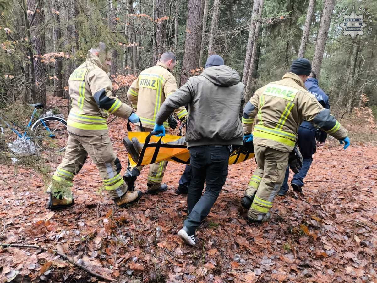 "Piorun" odnalazł zaginionego 74-latka. Pies bohaterem