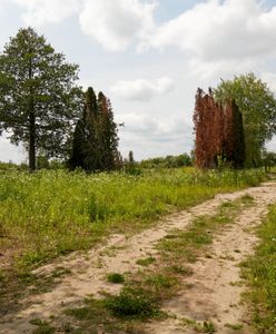 Chcieli postawić bloki w szczerym polu. Urząd odmówił. Podano powód