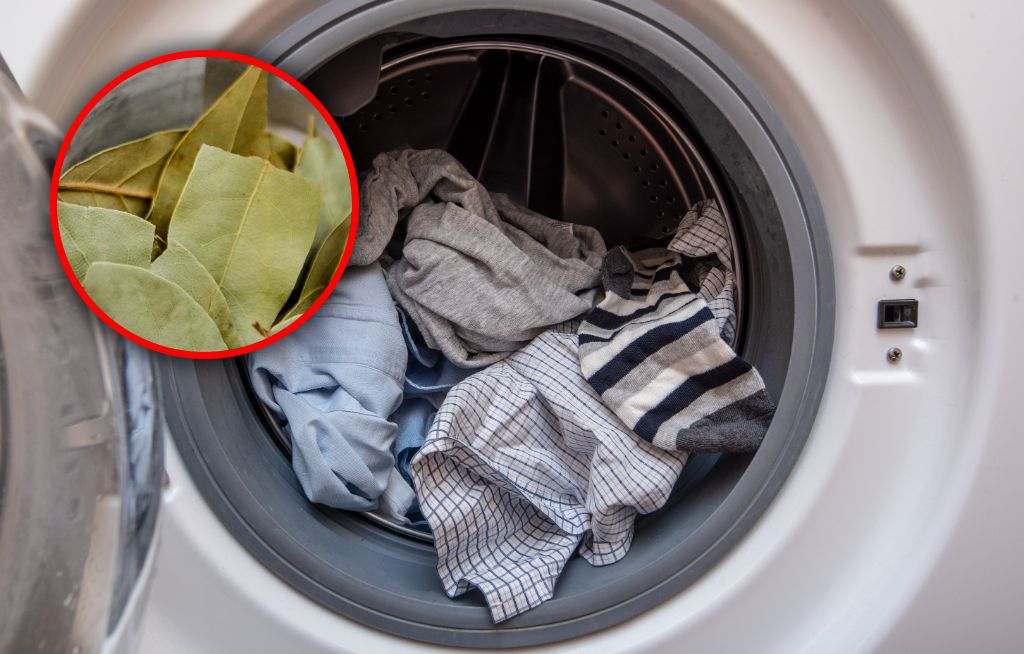 Dodaj kilka sztuk do prania. Zapomnisz o brzydkim zapachu