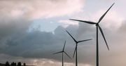 Zielona energia dla tysięcy firm. Magazyny w Polsce stawiają na wiatraki