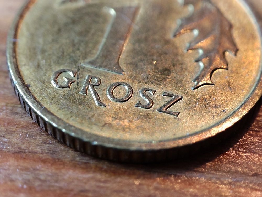 Zdjęcia z aparatu makro