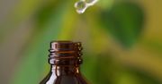 Olejek herbaciany sprawdzi się też w domu. Poopowiadamy jak go wykorzystać