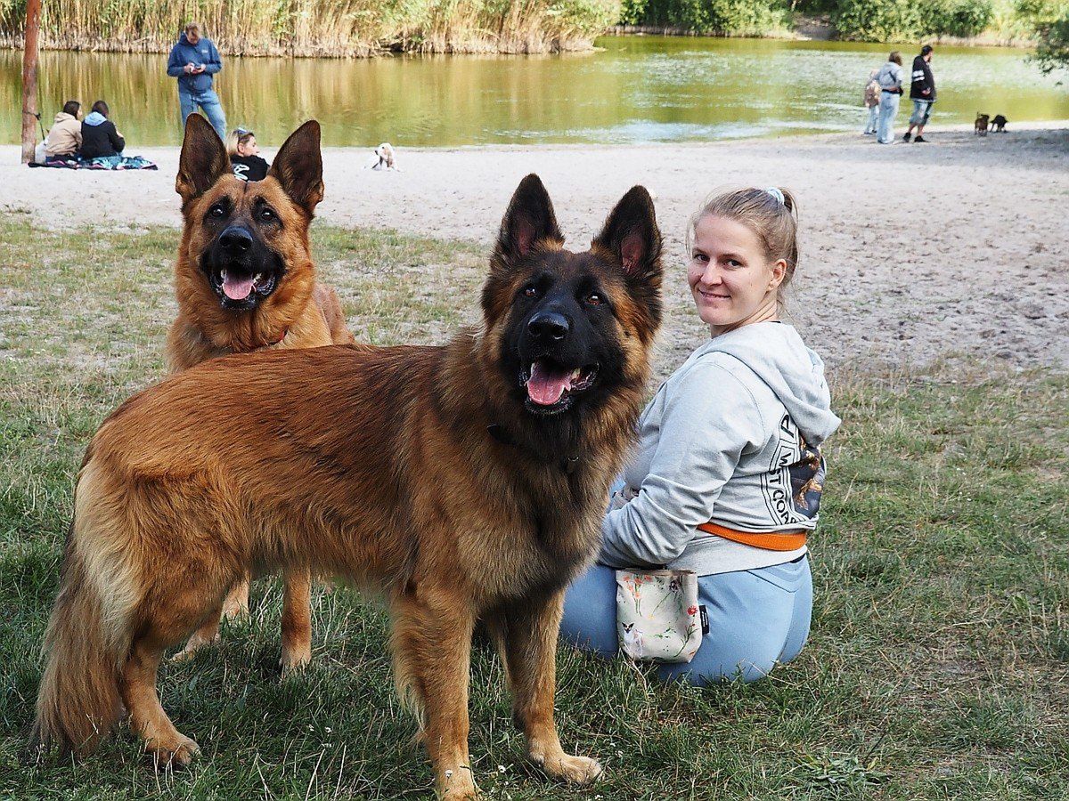 Łódź: Psi piknik obok stawu na Uroczysku Lublinek. Hasanie, zabawy, wypoczynek i wspomaganie schroniska dla zwierząt