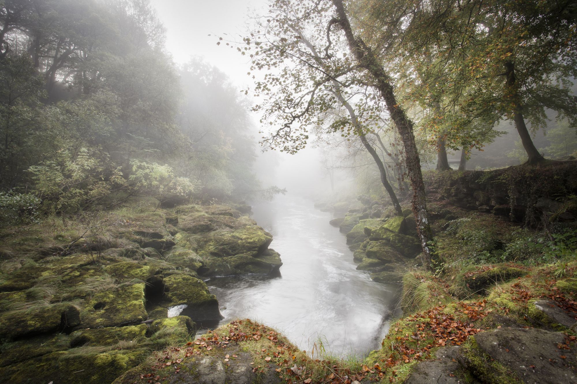 Mistrzowskie fotografie plenerowe w konkursie Outdoor Photographer of the Year 2014 2