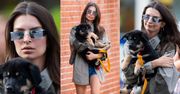 Emily Ratajkowski chwali się nowym szczeniakiem na nowojorskim chodniku