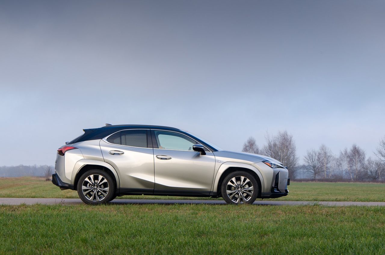 Lexus UX 300h AWD