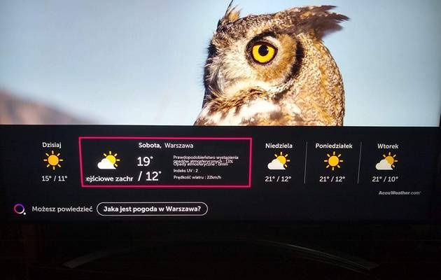 Smart TV - sterowanie głosowe