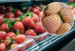 Ceny za polskie truskawki lecą w dół. Biedronka dodatkowo zaskoczyła klientów