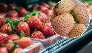 Ceny za polskie truskawki lecą w dół. Biedronka dodatkowo zaskoczyła klientów