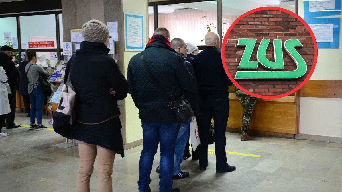 Liczba krótkich L4 to plaga. ZUS podał najnowsze dane