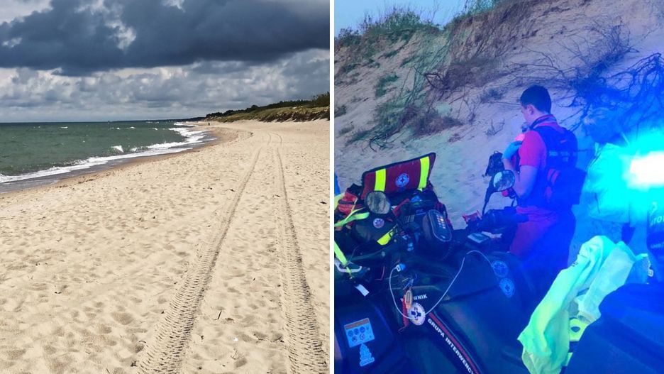Łazy. "Atak łosia na plaży"