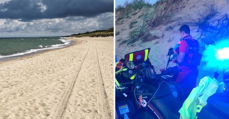 "Atak łosia" na plaży. Ranny turysta nad morzem