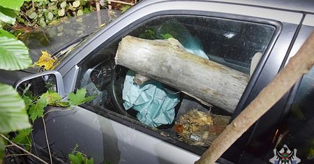 Ma szczęście że żyje. Po wypadku konar prawie zabił kierowcę