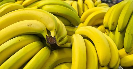 Cierpisz na schorzenia z listy? Nie jedz bananów pod żadnym pozorem