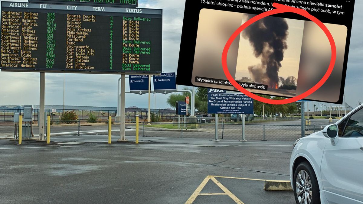 Samolot uderzył w jadące auto