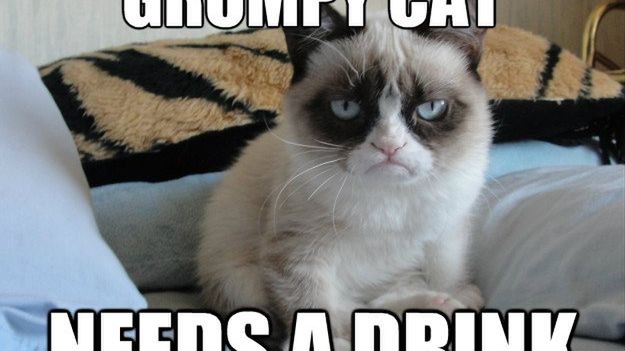 WTF dnia: poznajcie Grumppuccino, napój firmowany przez popularnego kota 1