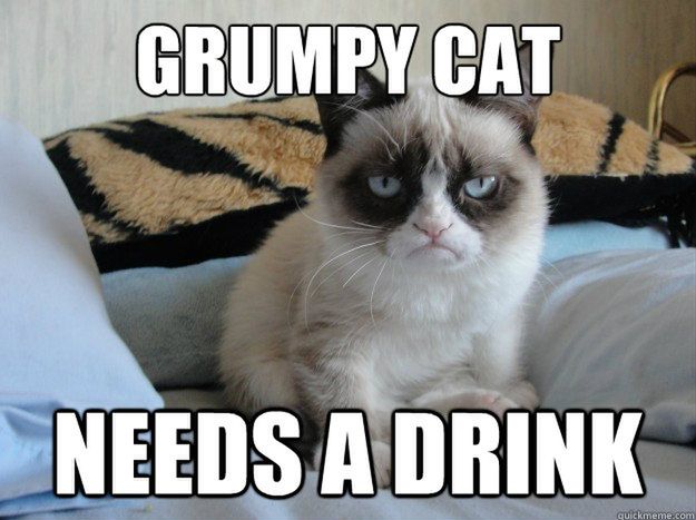 Grumpy Cat