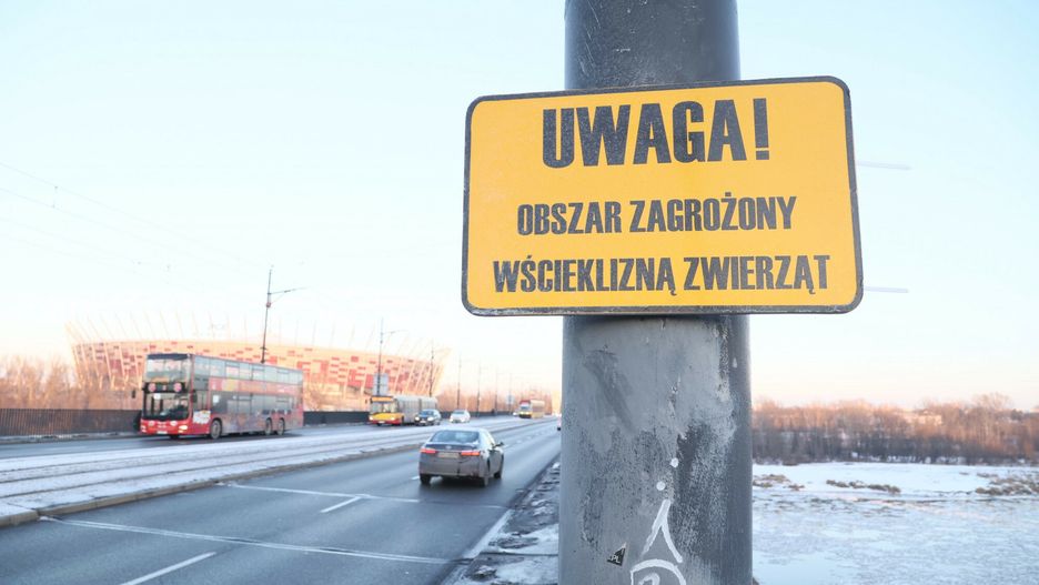 Ostrzeżenie przed wścieklizną  w Warszawie 