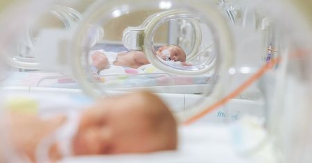 Czworaczki urodziły się w Lublinie. To trzeci taki przypadek w dziejach szpitala przy ul. Jaczewskiego