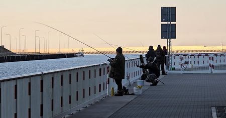 W ogóle się nie bała. Podpływała do wędkarzy i przechwalała zdobyczą