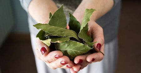 Robię aromatyczny wywar i moczę zafarbowane ubrania. To najlepszy ratunek