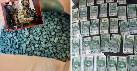 Gang pseudokibiców rozbity. Przemycili ponad 2,5 tony narkotyków