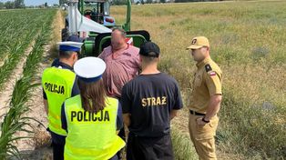 Kontrola rolnika na polu. Prawnik wyjaśnia, jakie służby mogą ją prowadzić