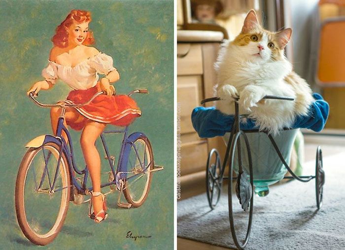 Koty, które pozują jak dziewczyny pin-up z dawnych amerykańskich plakatów 16