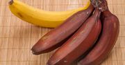 Czerwone banany. Co się stanie, jeśli będziesz jeść codziennie?