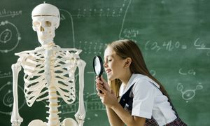 Ta krzyżówka obnaża braki w nauce. Co wiesz o swoim ciele?