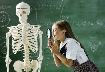 Ta krzyżówka obnaża braki w nauce. Co wiesz o swoim ciele?